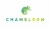 Chameleon Music Marketing Logo